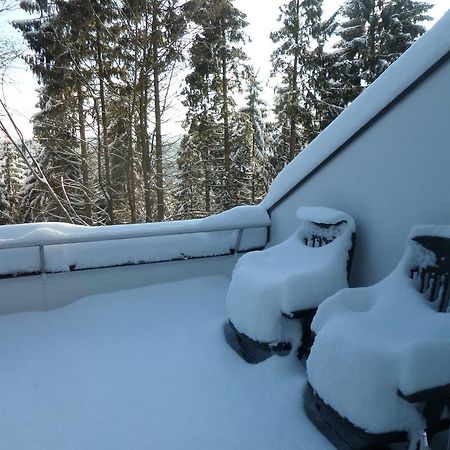 Terrassenhaus Winterberg Apartment Exterior photo