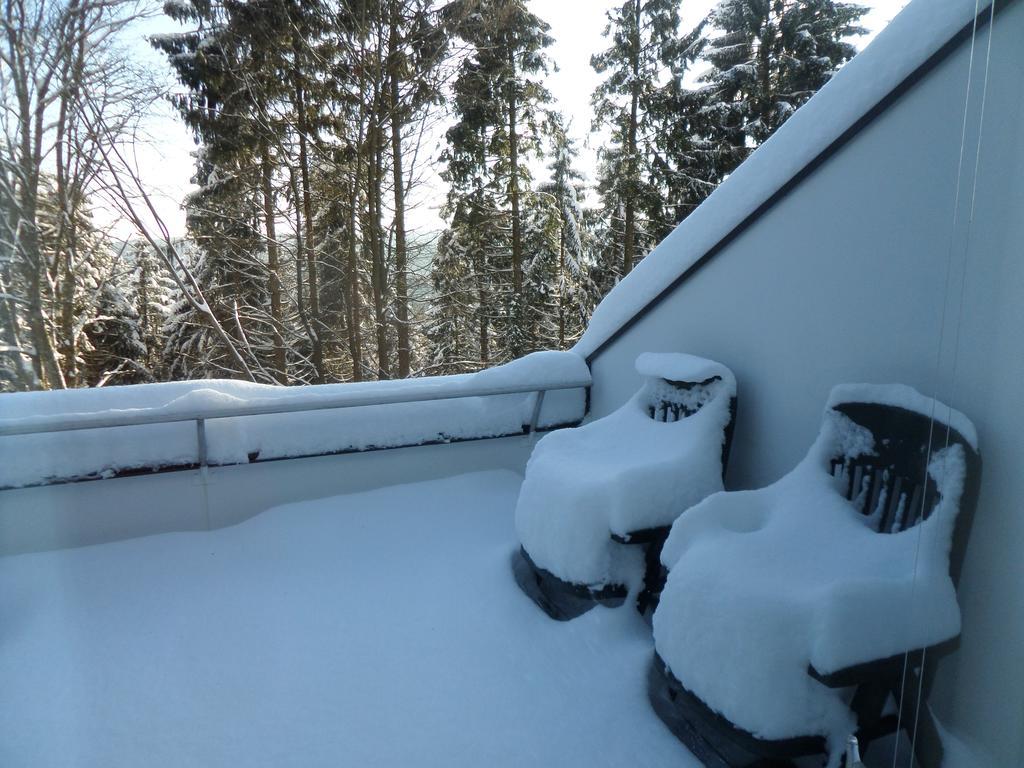 Terrassenhaus Winterberg Apartment Exterior photo